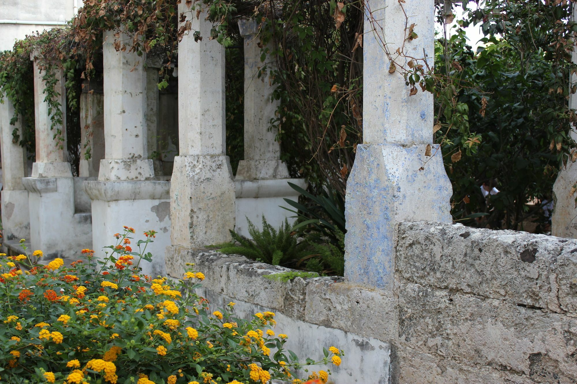 Masseria Pagani Nardò Εξωτερικό φωτογραφία