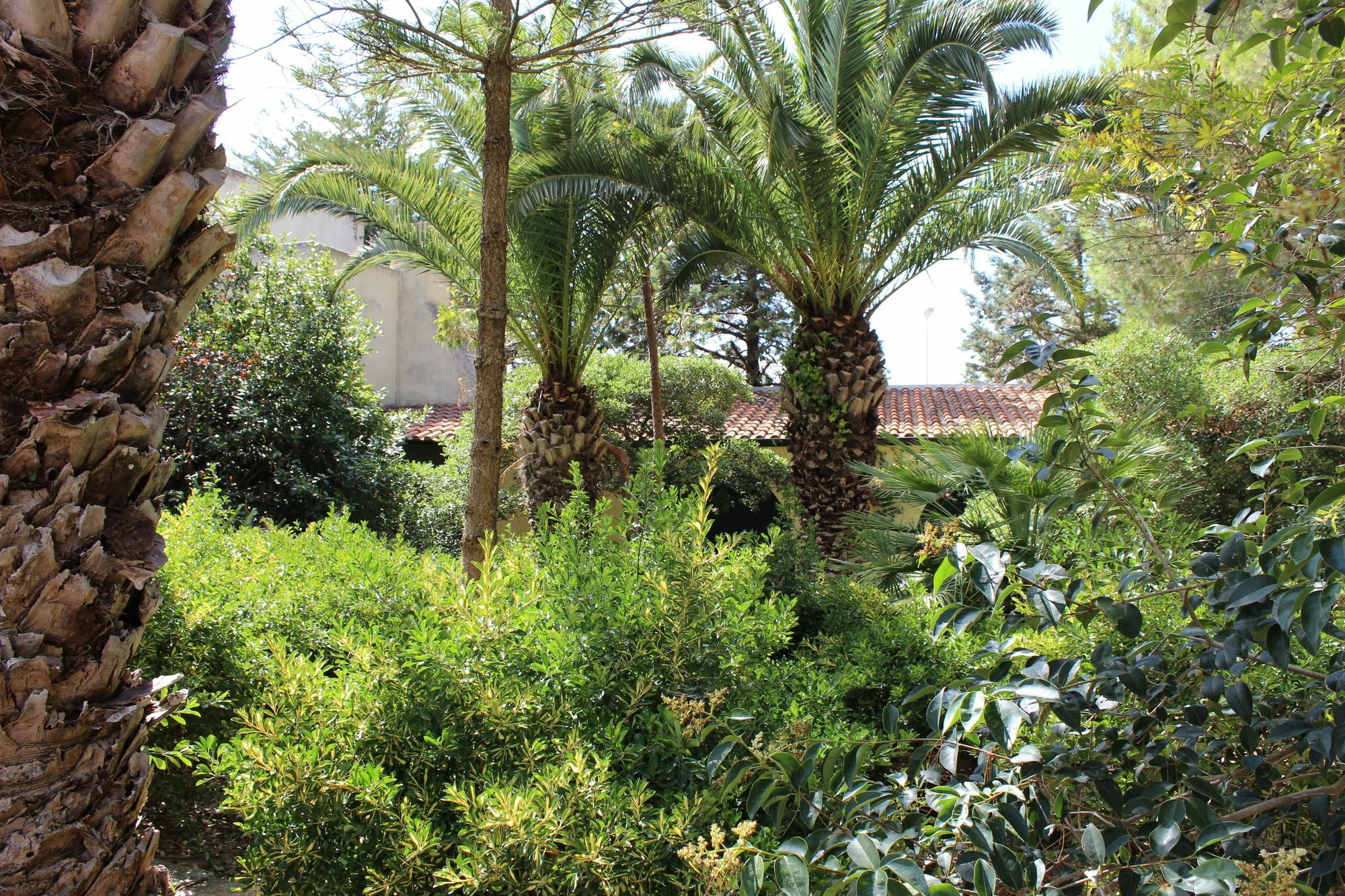 Masseria Pagani Nardò Εξωτερικό φωτογραφία